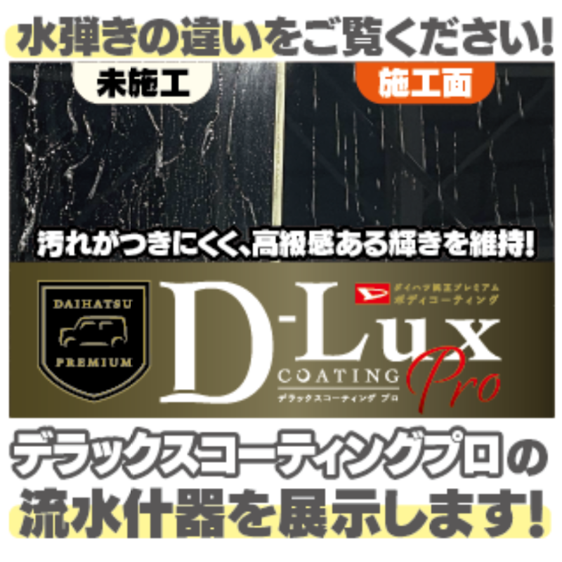 D-Luxコーティング